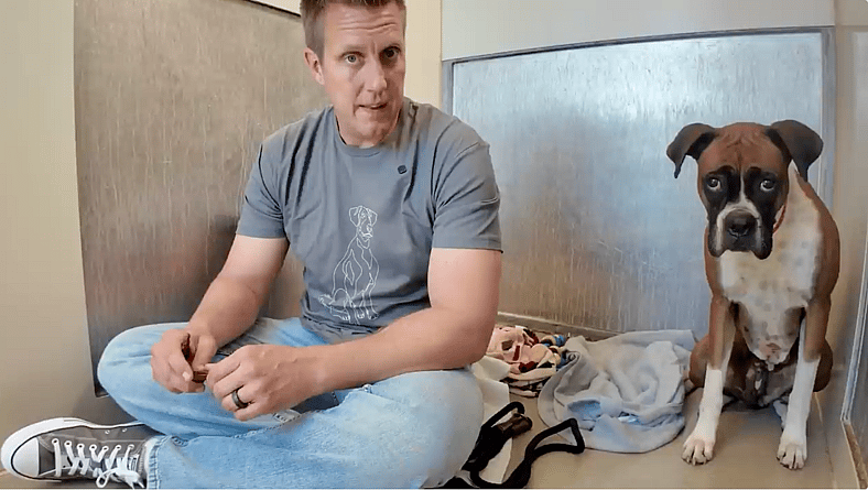 Kay - Sitting with dogs 87